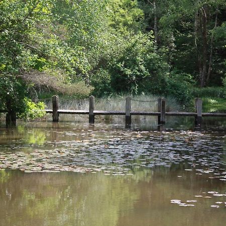 Spruce Lake Sauviat-sur-Vige Bagian luar foto