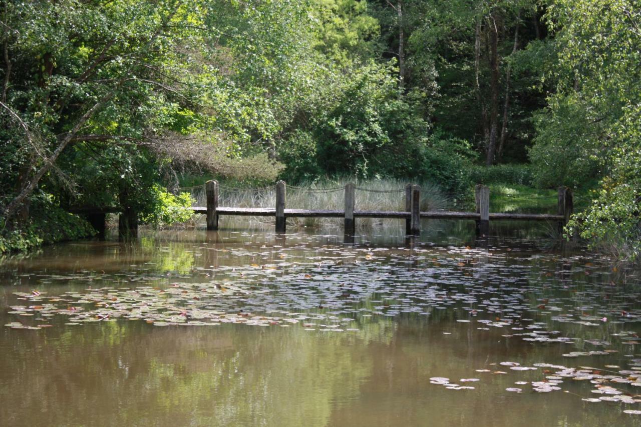 Spruce Lake Sauviat-sur-Vige Bagian luar foto
