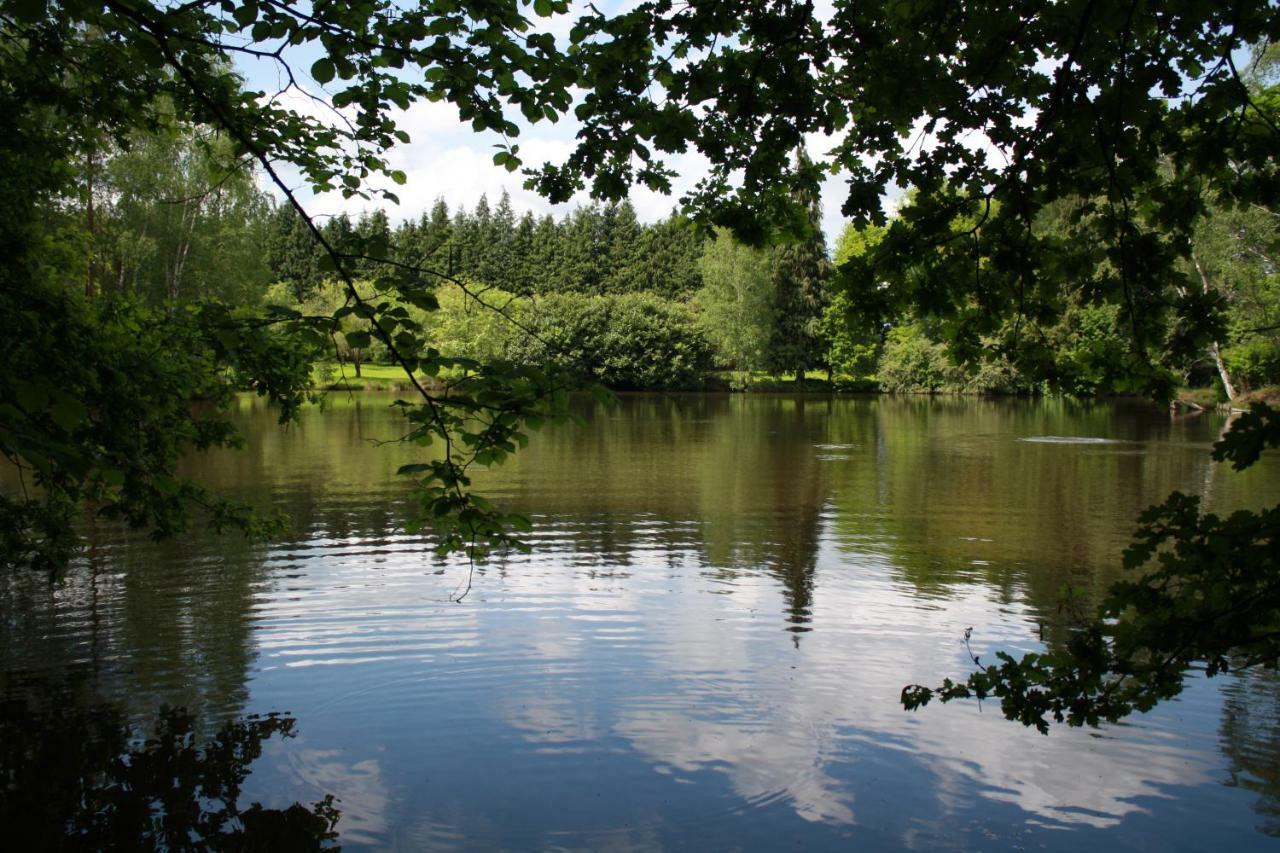 Spruce Lake Sauviat-sur-Vige Bagian luar foto