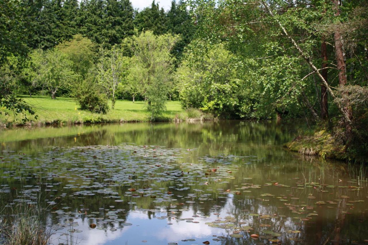 Spruce Lake Sauviat-sur-Vige Bagian luar foto