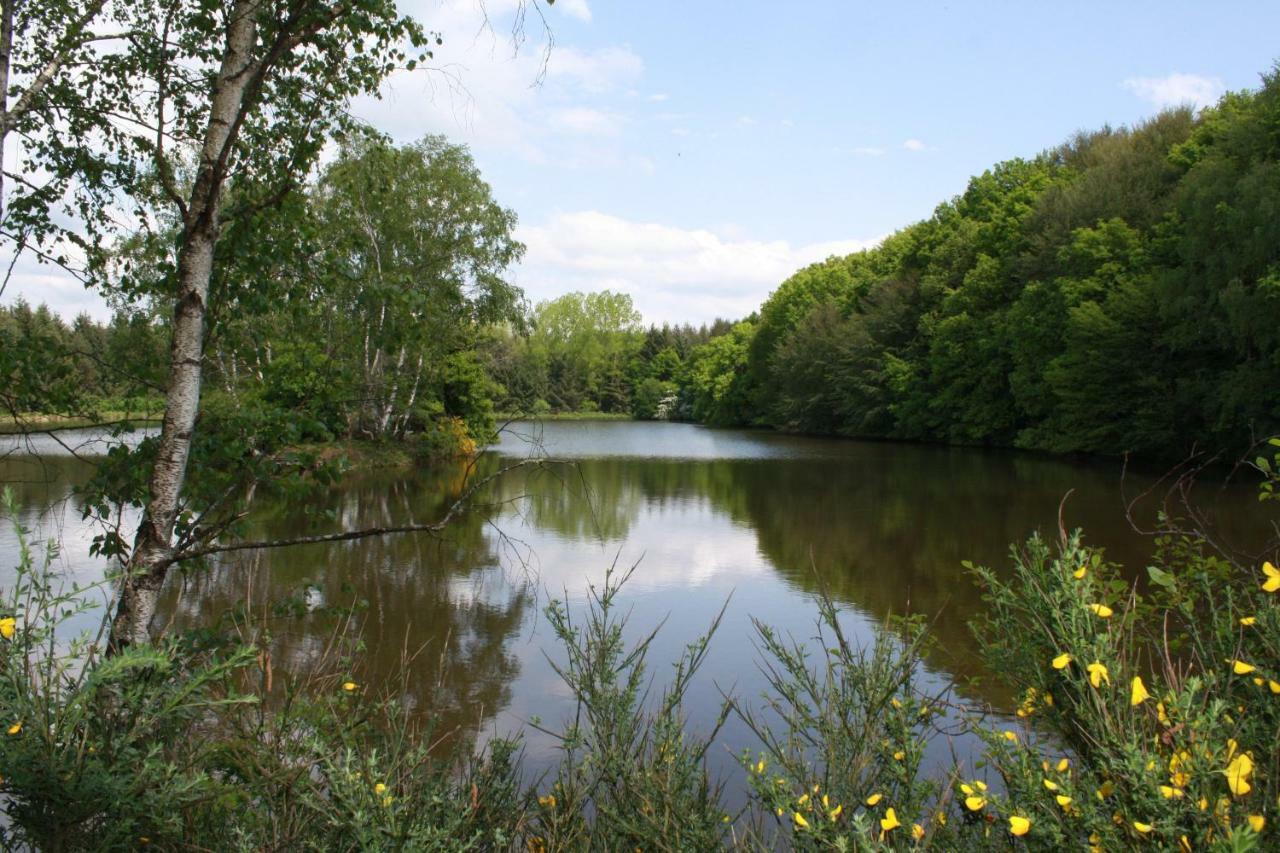 Spruce Lake Sauviat-sur-Vige Bagian luar foto