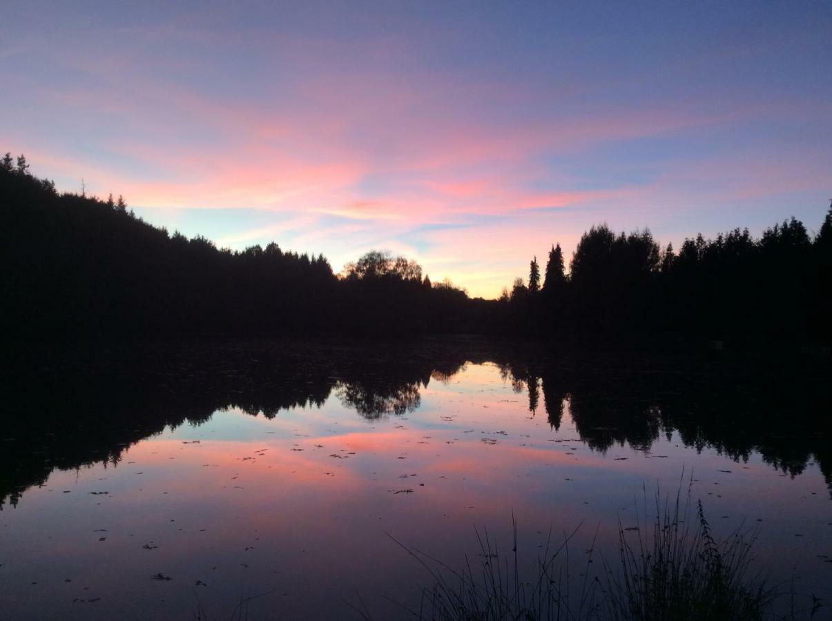 Spruce Lake Sauviat-sur-Vige Bagian luar foto